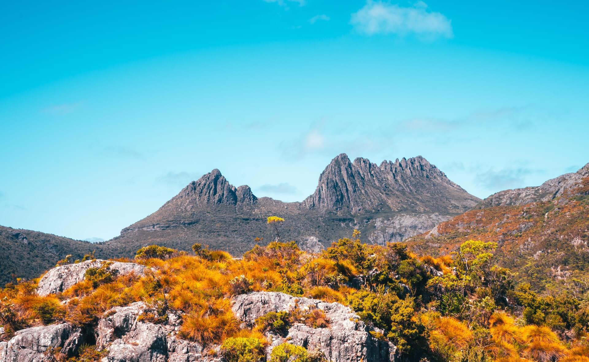 view of cradle mountain from the rocks and trees