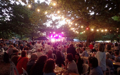 Local Festivals and Events: Enhancing Your Travel Experience